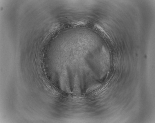 X0000088601393200706081341