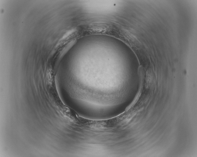 X0000088601394200706081341