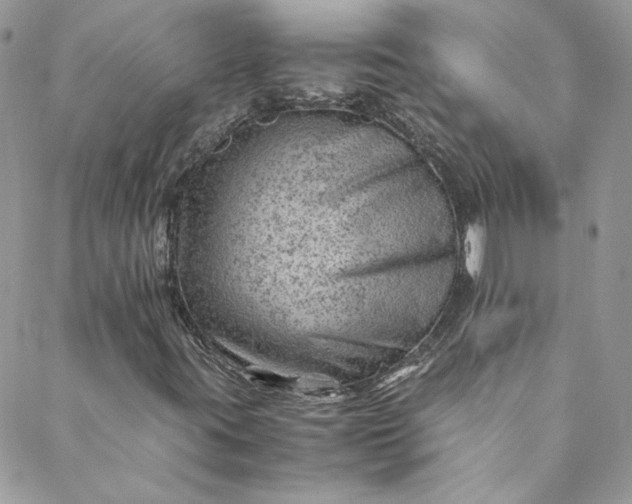 X0000088601395200706081341