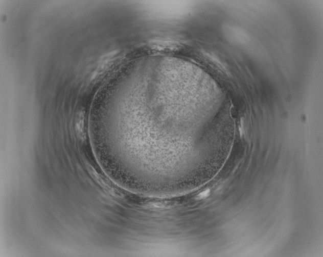 X0000088601396200706081341