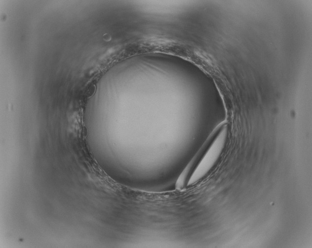 X0000088601397200706081341