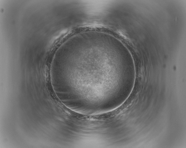 X0000088601398200706081341