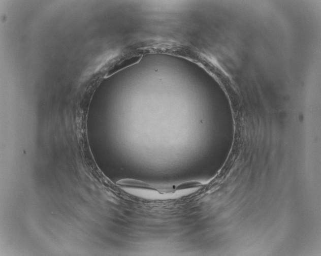 X0000088601399200706081341