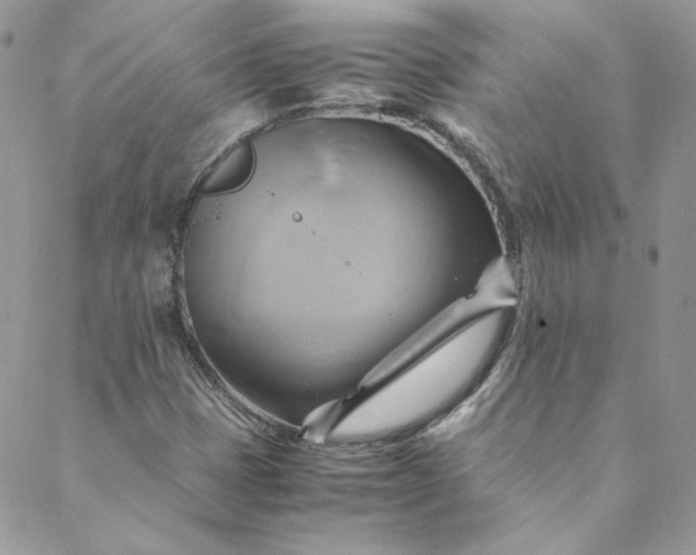 X0000088601401200706081341