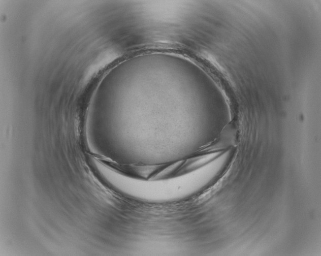 X0000088601402200706081341