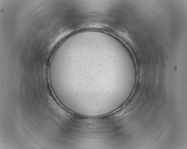 X0000088601404200706081341