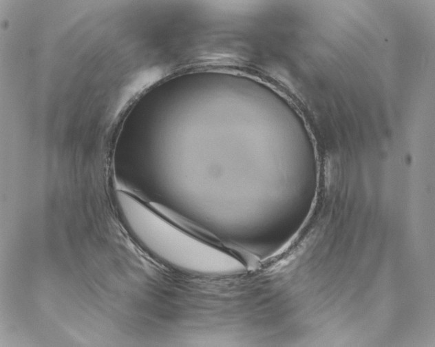 X0000088601405200706081341