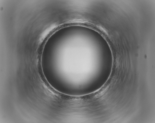 X0000088601406200706081341