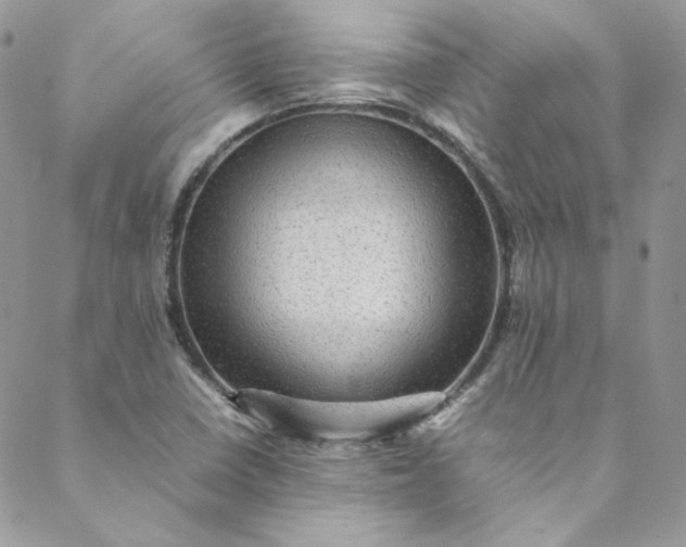 X0000088601410200706081341