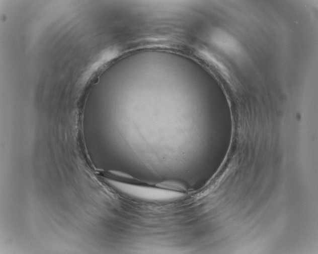 X0000088601411200706081341