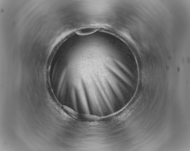 X0000088601412200706081341