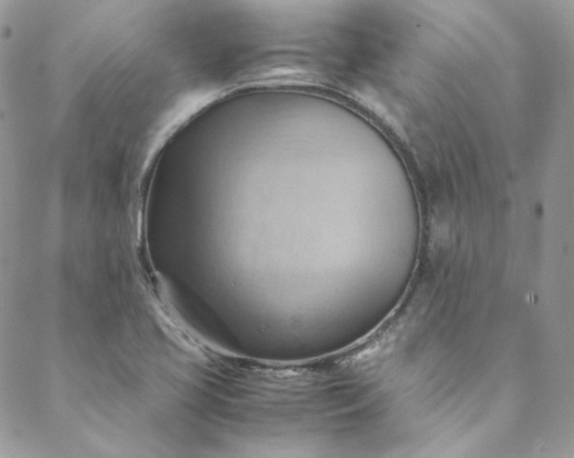 X0000088601413200706081341