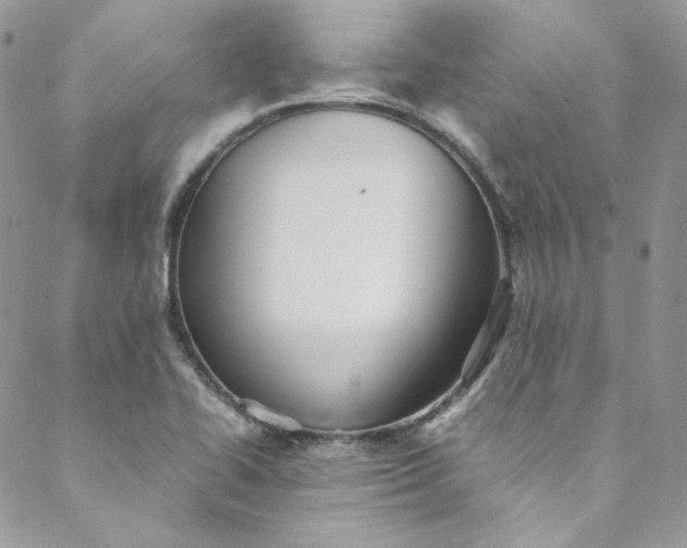 X0000088601414200706081341