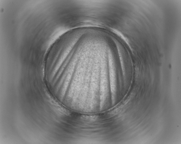 X0000088601415200706081341