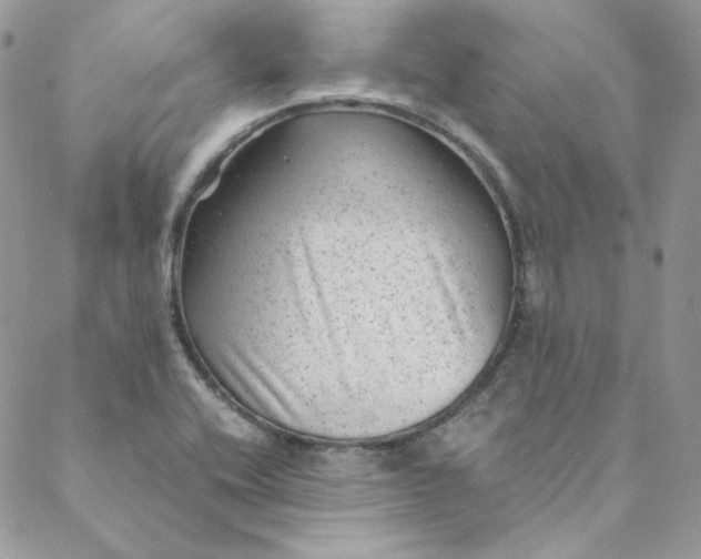 X0000088601416200706081341