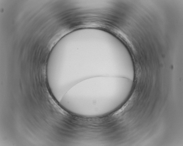 X0000088601417200706081341