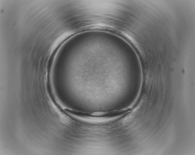 X0000088601418200706081341