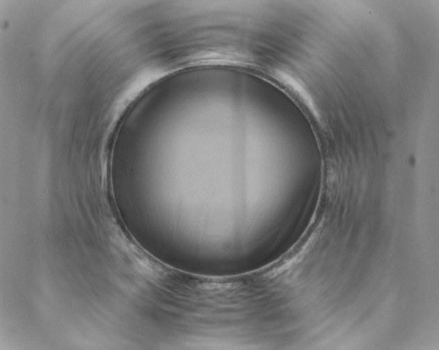 X0000088601419200706081341