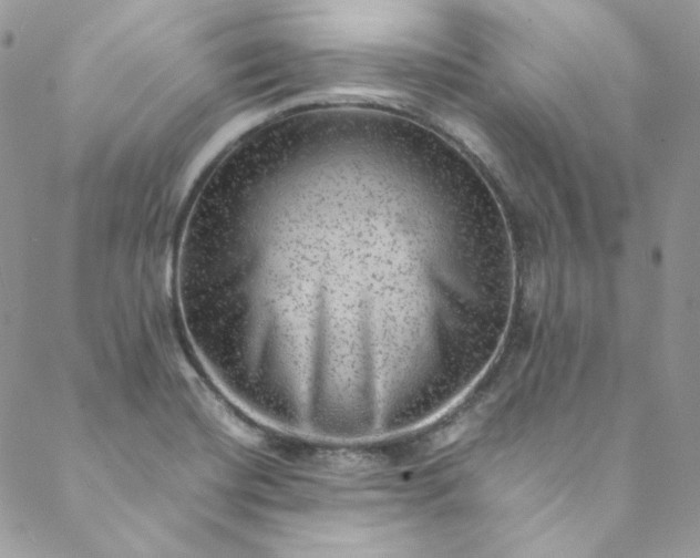 X0000088601420200706081341