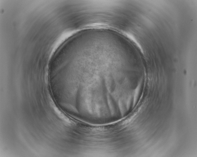 X0000088601421200706081341