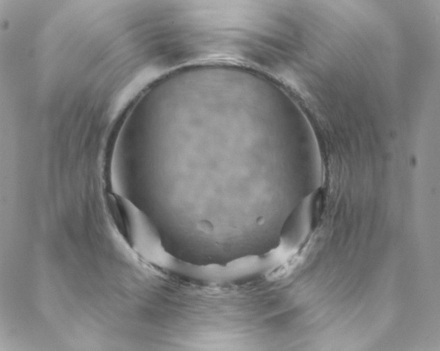 X0000088601422200706081341