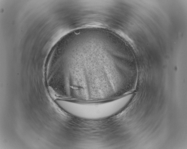 X0000088601423200706081341