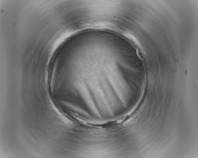 X0000088601424200706081341