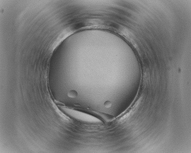 X0000088601425200706081341