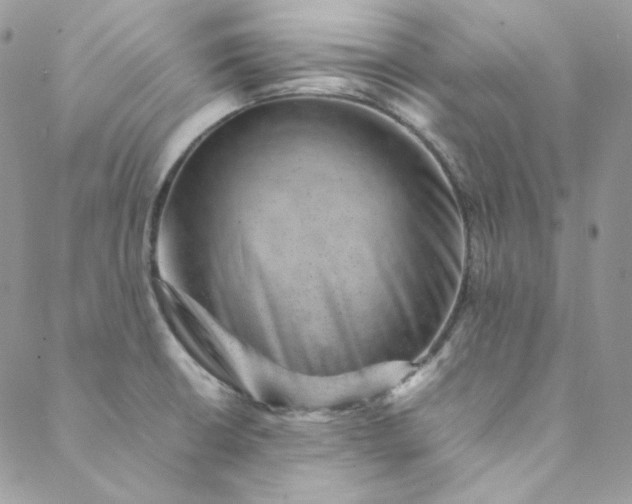 X0000088601426200706081341