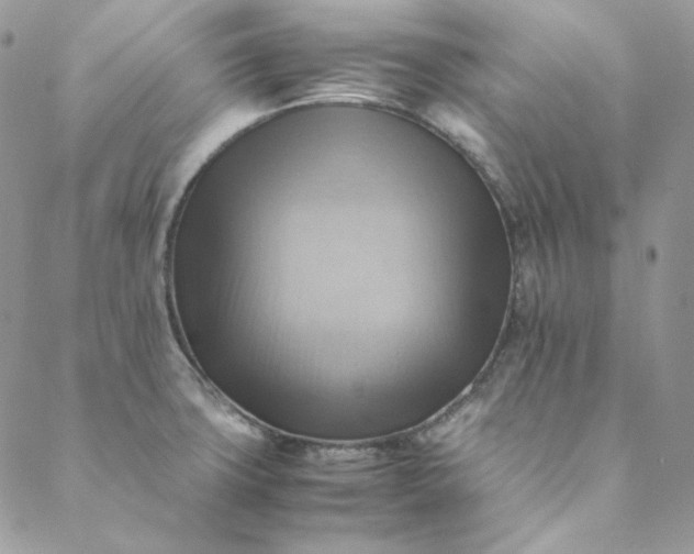 X0000088601427200706081341