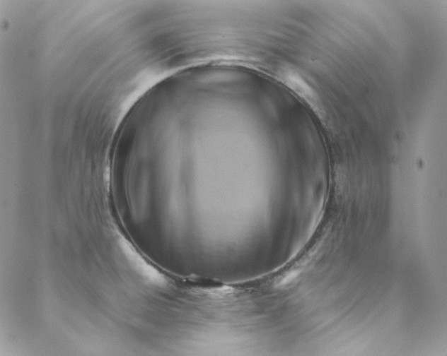 X0000088601428200706081341