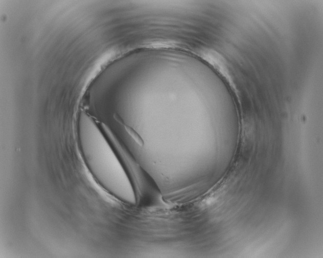 X0000088601429200706081341