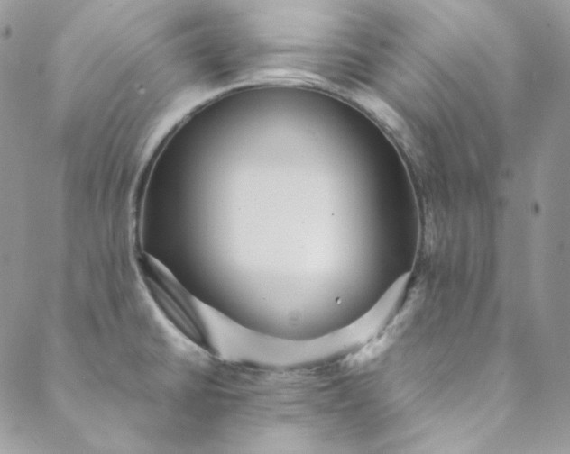 X0000088601430200706081341