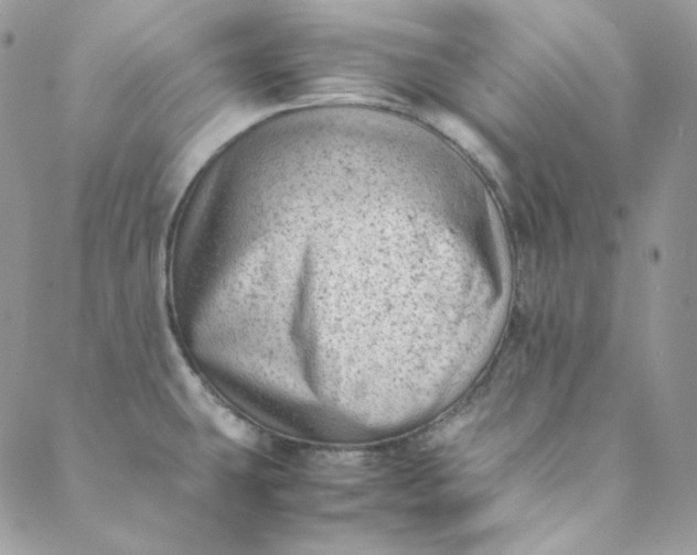 X0000088601431200706081341