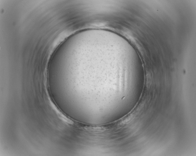 X0000088601432200706081341