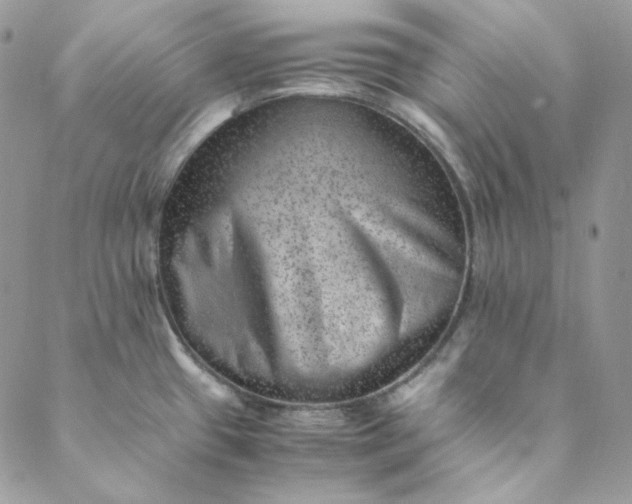 X0000088601433200706081341