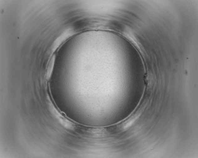 X0000088601434200706081341