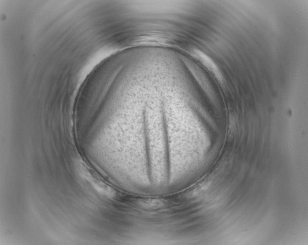 X0000088601435200706081341