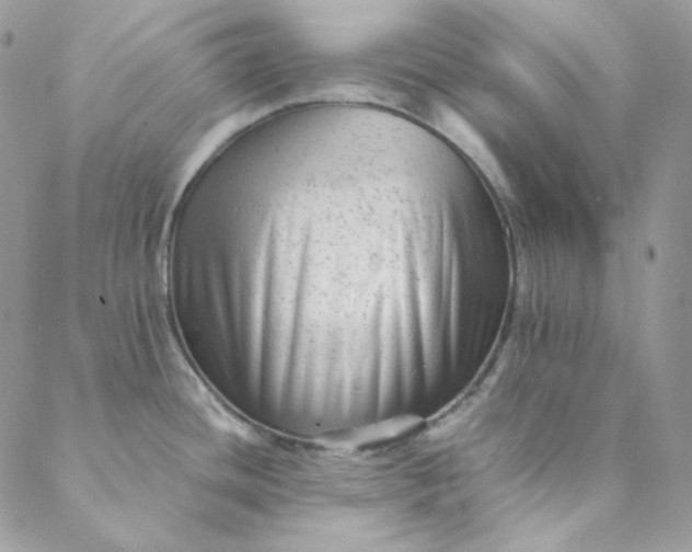 X0000088601436200706081341