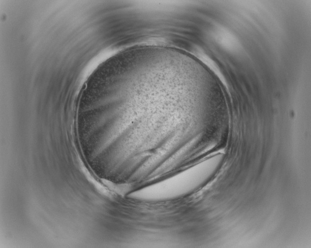 X0000088601437200706081342