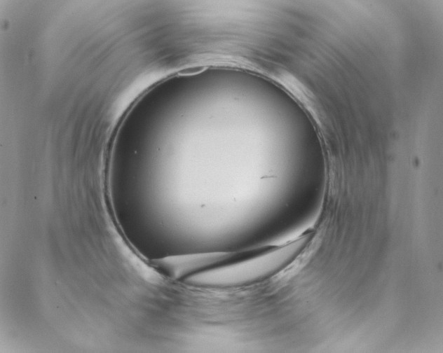 X0000088601438200706081342