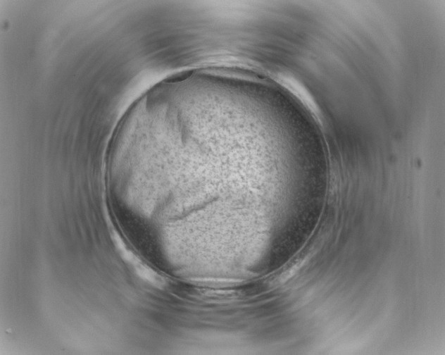 X0000088601439200706081342