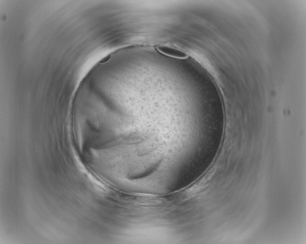 X0000088601440200706081342