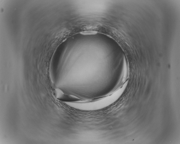 X0000088601441200706081341