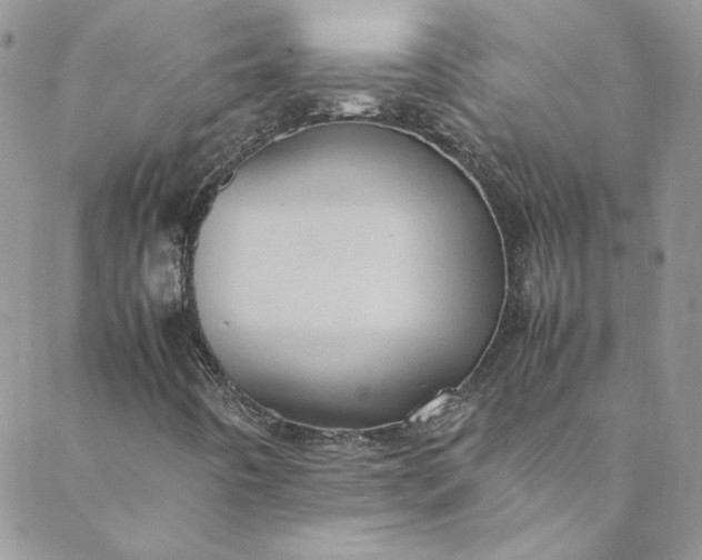 X0000088601442200706081341