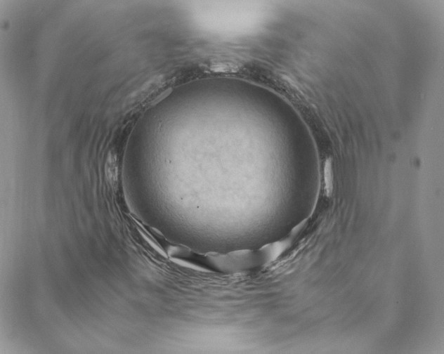 X0000088601443200706081341