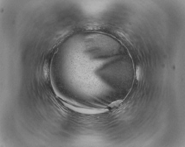 X0000088601444200706081341