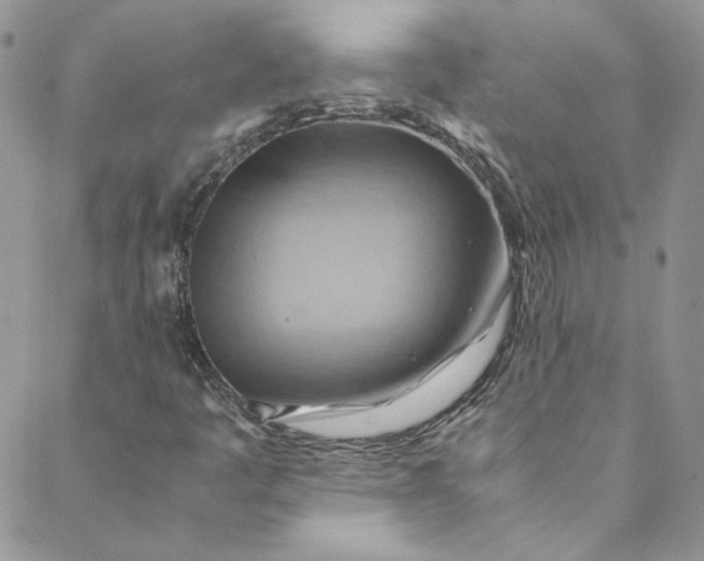 X0000088601445200706081341