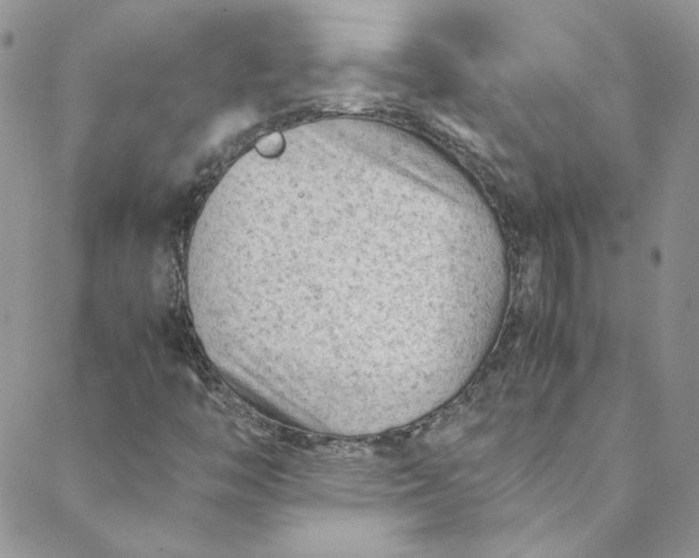 X0000088601446200706081341