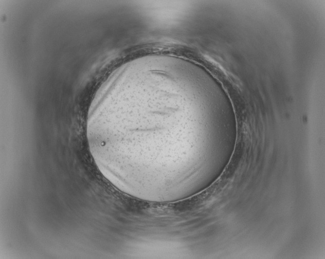 X0000088601447200706081341